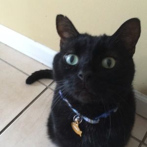 Meet your Posher, Carson